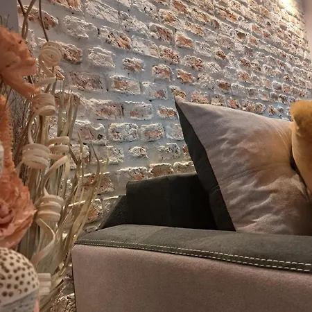 公寓 Casa Ileana Centrul Vechi 布拉索夫