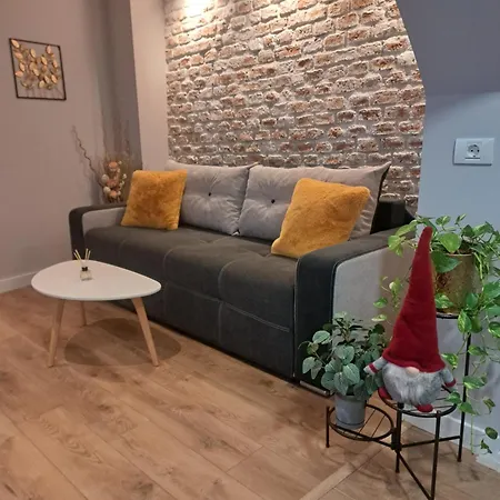 Casa Ileana Centrul Vechi Apartament *