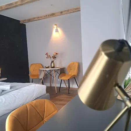 Casa Ileana Centrul Vechi 公寓 布拉索夫