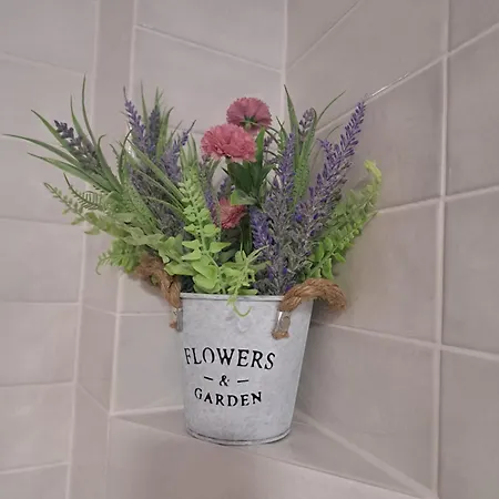 Appartement Casa Ileana Centrul Vechi