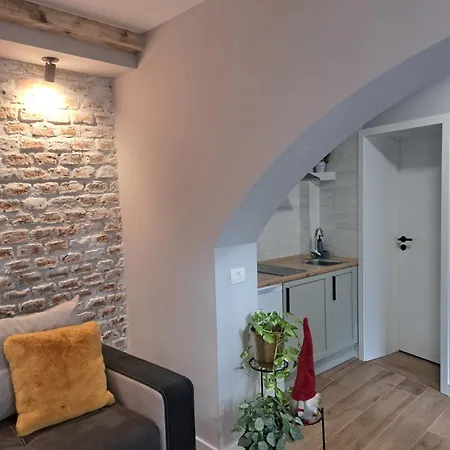 Casa Ileana Centrul Vechi Appartement
