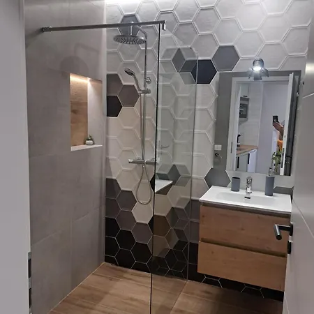 Apartament Casa Ileana Centrul Vechi *
