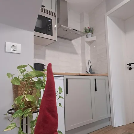 Casa Ileana Centrul Vechi *