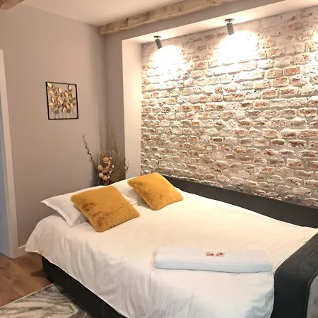 Apartament Casa Ileana Centrul Vechi *