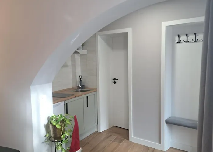 Casa Ileana Centrul Vechi 公寓