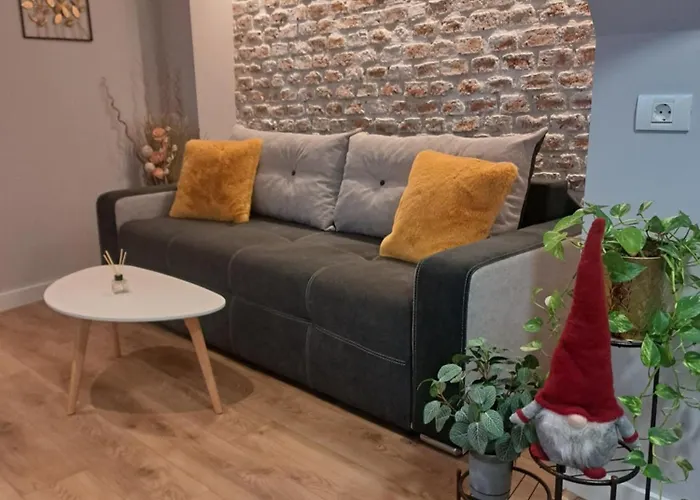 Casa Ileana Centrul Vechi 公寓 *