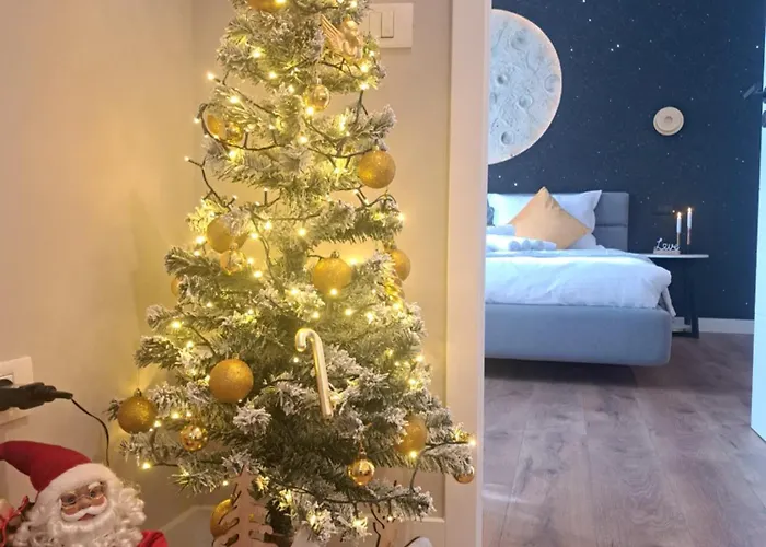 公寓 Casa Ileana Centrul Vechi 布拉索夫