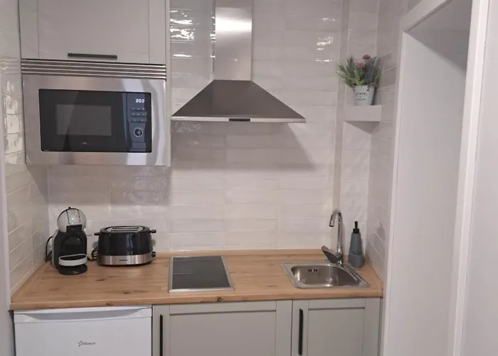 Apartment Casa Ileana Centrul Vechi *