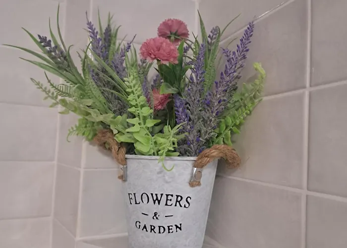 公寓 Casa Ileana Centrul Vechi