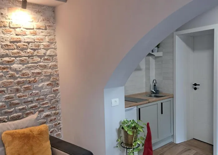 Casa Ileana Centrul Vechi 公寓