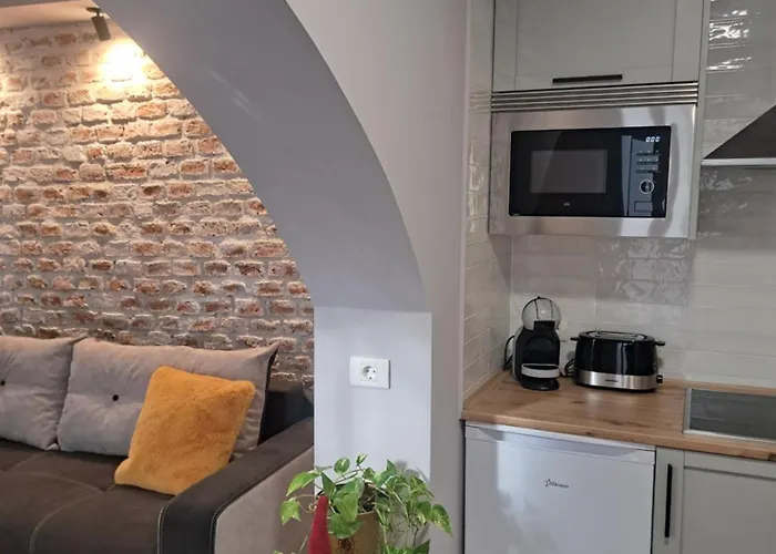 Apartment Casa Ileana Centrul Vechi *