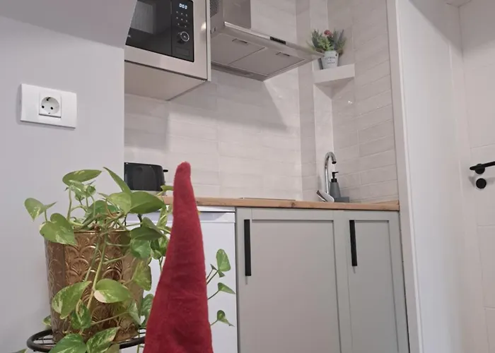 Casa Ileana Centrul Vechi *