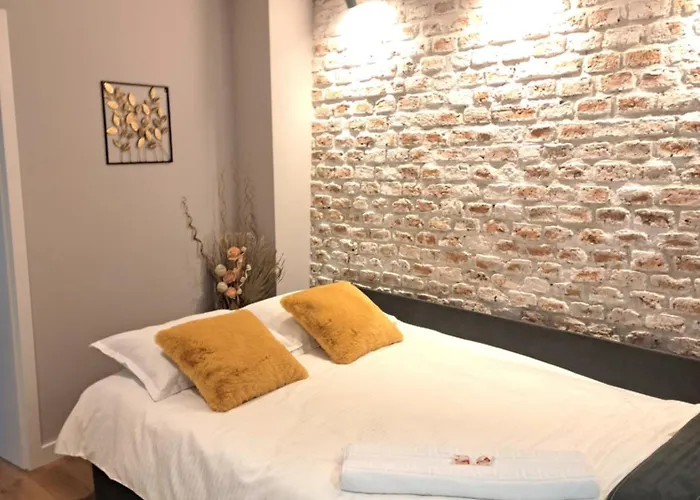 公寓 Casa Ileana Centrul Vechi *