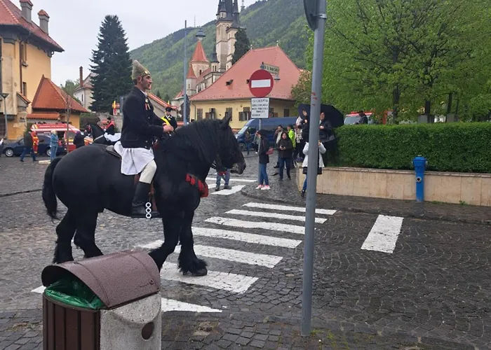 Casa Ileana Centrul Vechi Brasov